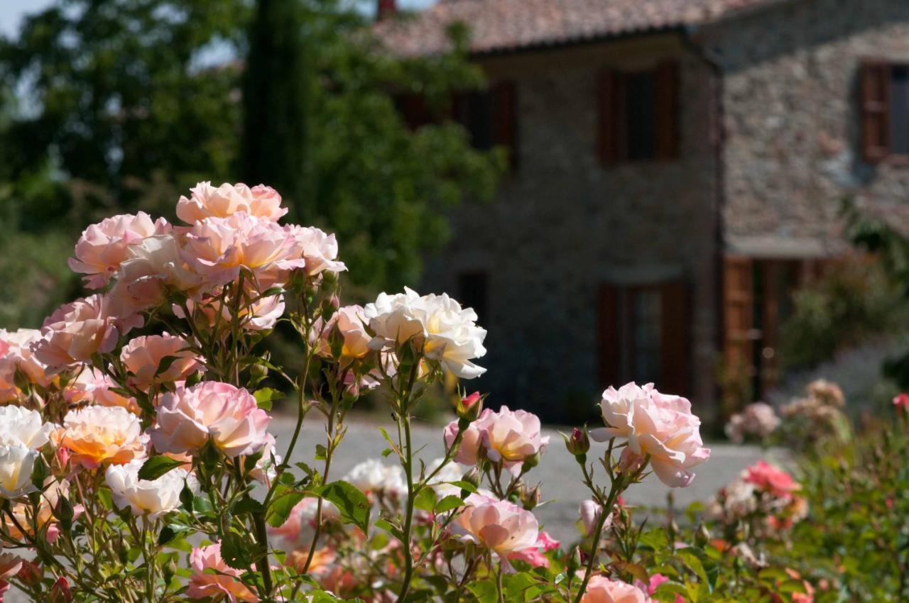 Agriturismo Le Valli Casa de hóspedes Casciana Terme Exterior foto